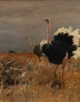 Wilhelm Kuhnert (Oppeln 1865 - Flims/CH 1926). Ostriches.