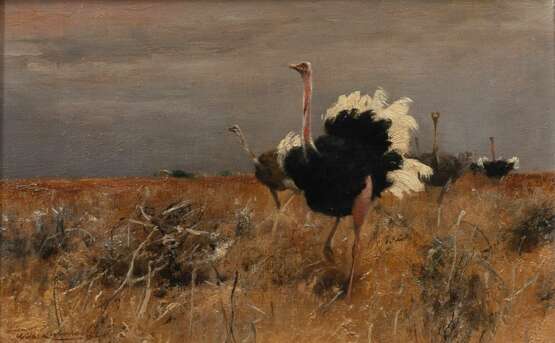 Wilhelm Kuhnert (Oppeln 1865 - Flims/CH 1926). Ostriches. - photo 1