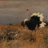 Wilhelm Kuhnert (Oppeln 1865 - Flims/CH 1926). Ostriches. - фото 1