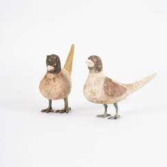 A Very Fine and Rare Pair of Painted Pottery Birds.
