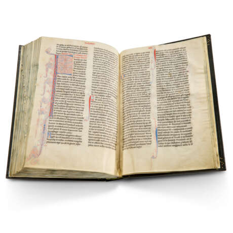 The Geraardsbergen Bible - фото 19