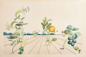 Dalí, Salvador (1904-1989) &quot;Flordali I&quot; 1981, Farblithographie mit Reliefprägung, 2884/4480, u.r. i.d. Platte sign., verso num./bez., Druck Matthieu/ Zürich, 103,5x73,5cm (m.R. 108x136cm), schmaler Lichtrand, v…