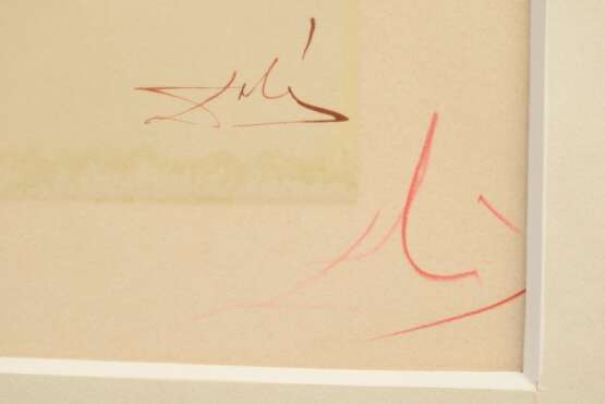 Dali, Salvador (1904-1989) "Aufbruch zur grossen Reise" (Hölle - 1. Gesang) aus Dante Alighieri "Die Göttliche Komödie", Xylographie, 88/150, u. in rot sign./num., u.r. i.d. Platte sign., 25,5x18cm (m… - фото 3