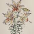 Dali Salvador (1904-1989) &quot;Lilium auratum formicans“, Heliogravure/Prägedruck, u.r. sign., u. bez., 68x49cm (m.R. 96x75,5cm) - Prix ​​des enchères