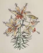 Обзор. Dali Salvador (1904-1989) &quot;Lilium auratum formicans“, Heliogravure/Prägedruck, u.r. sign., u. bez., 68x49cm (m.R. 96x75,5cm)