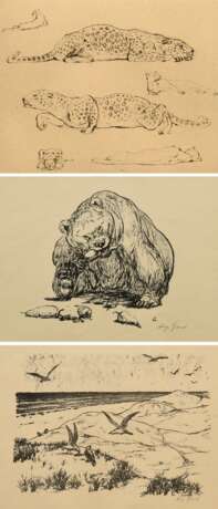 3 Gaul, August (1869-1921): "Fressender Bär" und "Möwen am Strand", Lithographien, je u.r. sign. und u.r. i.d. Platte monogr., 18,7x24,5/21x28cm (m.R. 33,8x43,8cm) sowie "Leopard" Radierung,… - photo 1