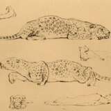 3 Gaul, August (1869-1921): "Fressender Bär" und "Möwen am Strand", Lithographien, je u.r. sign. und u.r. i.d. Platte monogr., 18,7x24,5/21x28cm (m.R. 33,8x43,8cm) sowie "Leopard" Radierung,… - Foto 10