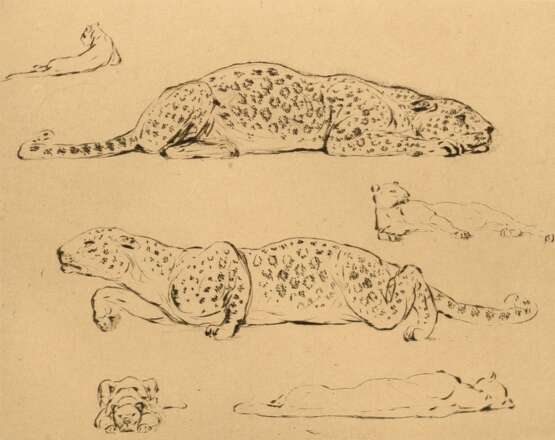 3 Gaul, August (1869-1921): "Fressender Bär" und "Möwen am Strand", Lithographien, je u.r. sign. und u.r. i.d. Platte monogr., 18,7x24,5/21x28cm (m.R. 33,8x43,8cm) sowie "Leopard" Radierung,… - photo 10