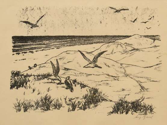 3 Gaul, August (1869-1921): "Fressender Bär" und "Möwen am Strand", Lithographien, je u.r. sign. und u.r. i.d. Platte monogr., 18,7x24,5/21x28cm (m.R. 33,8x43,8cm) sowie "Leopard" Radierung,… - Foto 12
