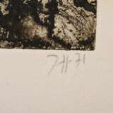 Janssen, Horst (1929-1995) "Norwegische Landschaft - nach J.C. Dahl" 1976, Radierung, u.r. sign./dat., PM 10,4x19cm, BM 25x34cm, leichte Altersspuren - Foto 3