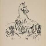 Kokoschka, Oskar (1886-1980) "Pferde" 1962, Lithographie, u. i. Stein monogr./dat., Griffelkunst, BM 62,5x49cm, leichte Altersspuren - Foto 1