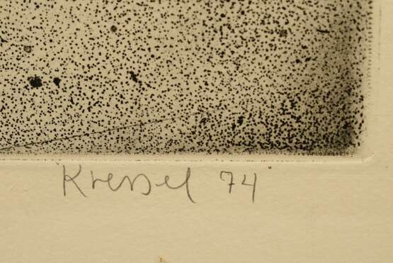 Kressel, Dieter (1925-2015) "Käferkasten" 1974, Radierung, 7/100, u. sign./dat./num./betit., WVZ 120, PM 59x49,3cm, BM 66x56cm (m.R. 73x62,5cm) - photo 3