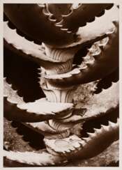 Renger-Patzsch, Albert (1897-1966) &quot;Pflanzenstudie&quot; (Aloe), Fotografie auf Pappe montiert, verso gestempelt, 17,8x12,6cm (21x16cm), min. Altersspuren