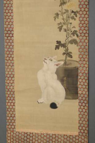 Kawanabe Kyosai (1831-1889) "Weiße Katze neben gelber Topfchrysantheme, darüber zwei Schmetterlinge", Rollbild auf Brokatseide aufgezogen, farbige Tusche auf Seide, Inschrift und Siegel auf Topf, Japan 19.Jh., … - фото 2