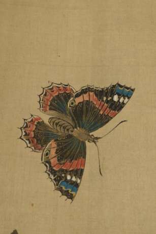 Kawanabe Kyosai (1831-1889) "Weiße Katze neben gelber Topfchrysantheme, darüber zwei Schmetterlinge", Rollbild auf Brokatseide aufgezogen, farbige Tusche auf Seide, Inschrift und Siegel auf Topf, Japan 19.Jh., … - фото 6
