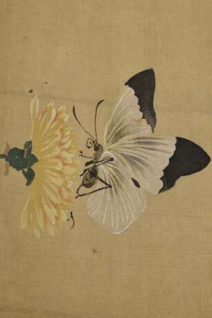 Kawanabe Kyosai (1831-1889) "Weiße Katze neben gelber Topfchrysantheme, darüber zwei Schmetterlinge", Rollbild auf Brokatseide aufgezogen, farbige Tusche auf Seide, Inschrift und Siegel auf Topf, Japan 19.Jh., … - photo 7