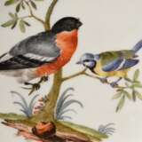 21 Teile Meissen Service mit polychromer „Vogel und Insekten“ Malerei auf Ozier Relief, um 1750, bestehend aus: 1 Kaffeekanne (H. 25cm, o. Rand rest.), 1 Teekanne (H. 12cm, Tülle rest.), 1 Mokkakanne (H. 16,5cm), 1 Teedo… - photo 10