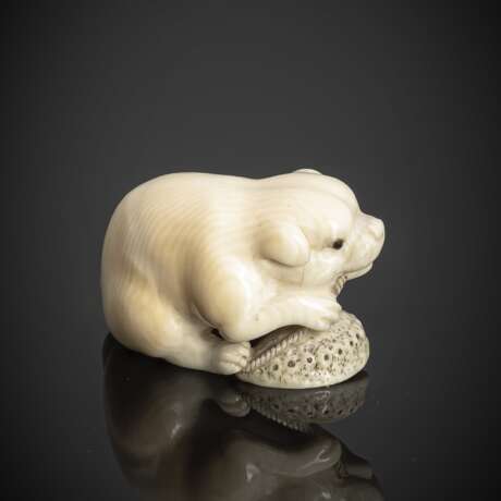 Feines Netsuke eines Welpen aus Elfenbein von Okatori - photo 2