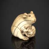 Netsuke einer Ratte mit Jungem aus Elfenbein - photo 1