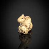 Netsuke einer Ratte mit Jungem aus Elfenbein - photo 2