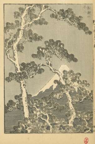 Katsushika Hokusai (1760 - 1849): 15 Passepartouts mit Doppel- bzw. einzelnen Buchseiten - Foto 8