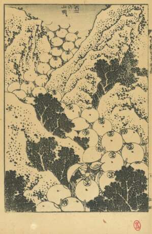 Katsushika Hokusai (1760 - 1849): 15 Passepartouts mit Doppel- bzw. einzelnen Buchseiten - Foto 12