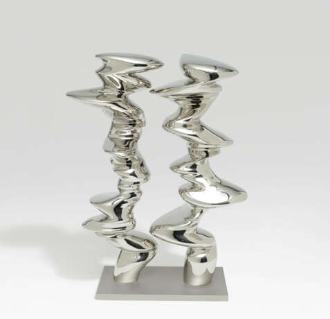 Tony Cragg. Points of View - photo 1