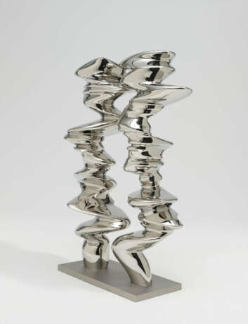 Tony Cragg. Points of View - фото 2