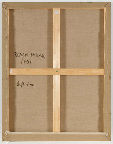 Thomas Zipp. Black Pattex (Mo) - photo 4