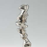 Tony Cragg. Points of View - photo 2