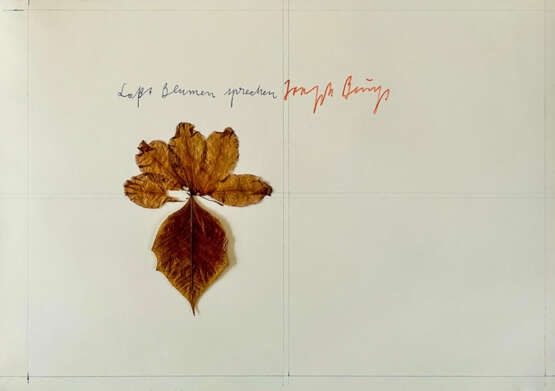 Joseph Beuys. Laßt Blumen sprechen - photo 1