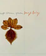 Collage. Joseph Beuys. Laßt Blumen sprechen
