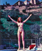Aperçu. Helmut Newton. The Redhead (Domestic Nude IX, Los Angeles)