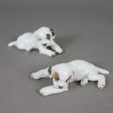Zwei Hundewelpen - Rosenthal, Porzellan, sparsame Unterglasu… - photo 1