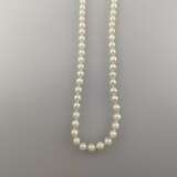 Perlenkette - 20.Jh., ca.104 cremefarbene Zuchtperlen mit te… - Foto 2