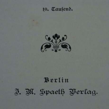 Zwei Bände "Napoleon I"- 1x "Das Erwachen der Völker", 6. Ta… - фото 3