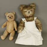 Zwei Teddys - verschiedene Alter, jeweils Drehkopf mit Glasa… - фото 1