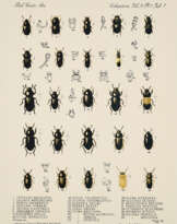 George Brecht. Untitled (dedicated to Johannes Theodor Baargeld)