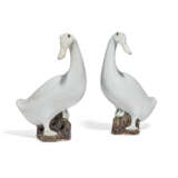 A PAIR OF CHINESE EXPORT WHITE-GLAZED MODELS OF DUCKS - photo 5