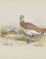 ARCHIBALD THORBURN (BRITISH, 1860-1935)