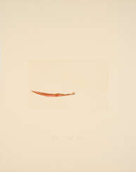 Joseph Beuys. Meerengel die Seegurke (From: Suite Zirkulationszeit)
