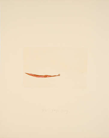 Joseph Beuys. Meerengel die Seegurke (Aus: Suite Zirkulationszeit) - Foto 1