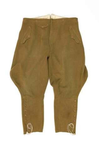 NSDAP, Breeches. - photo 1