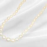 Chain: valuable antique Oriental pearl necklace, p… - photo 3