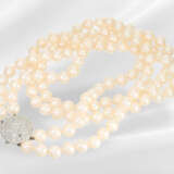 Necklace: formerly expensive Akoya pearl necklace … - фото 2