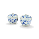 PAIRE DE POTS COUVERTS EN PORCELAINE BLEU BLANC - Foto 2