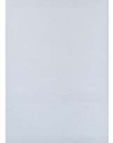 Roman Opałka (1931-2011)