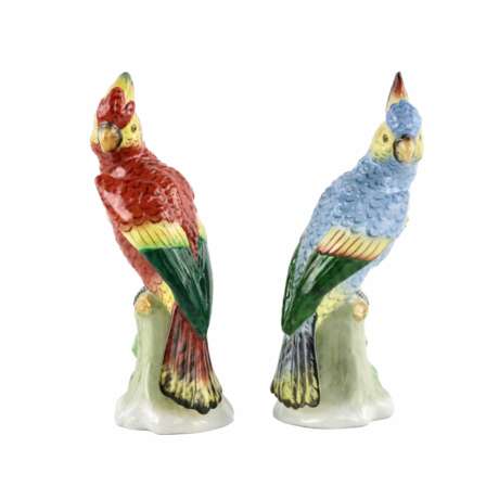 Deux perroquets de Sitzendorf. Porcelaine 20th century - photo 2