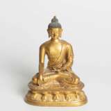 Buddha Shakyamuni - фото 2