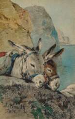Two donkeys on the shore of lake Garda